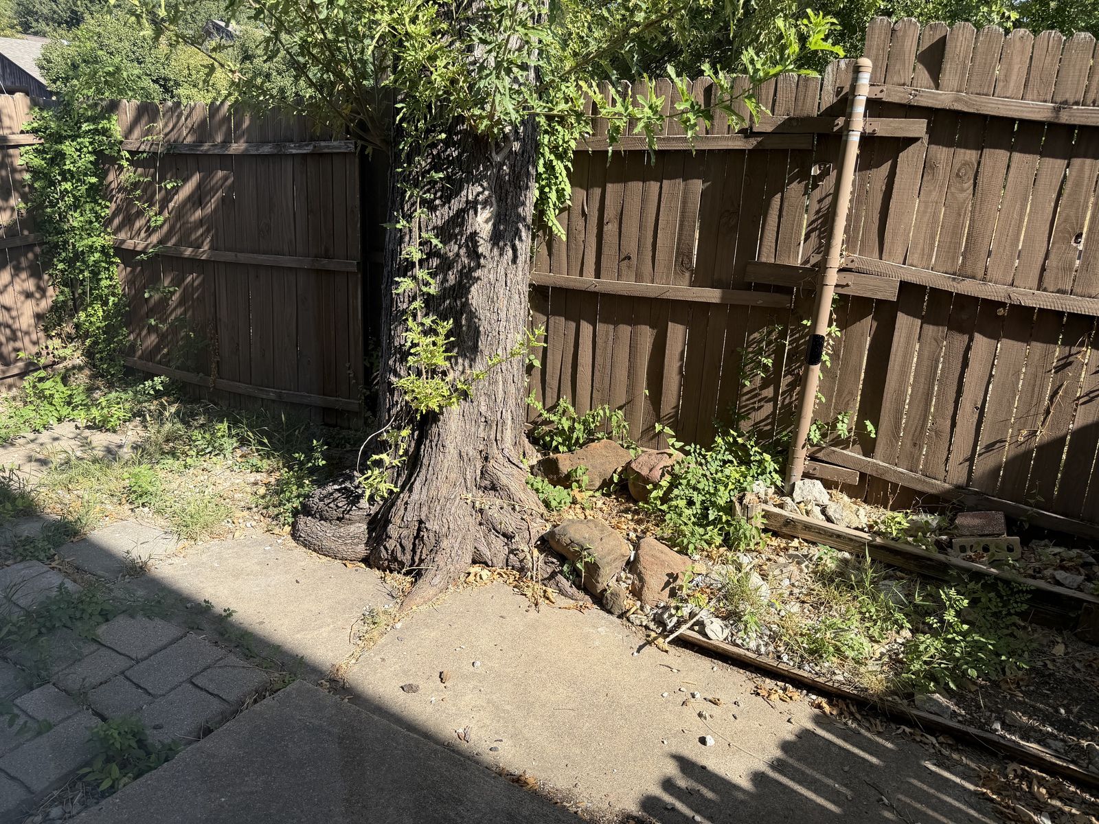 Apartment B2 — photo 10